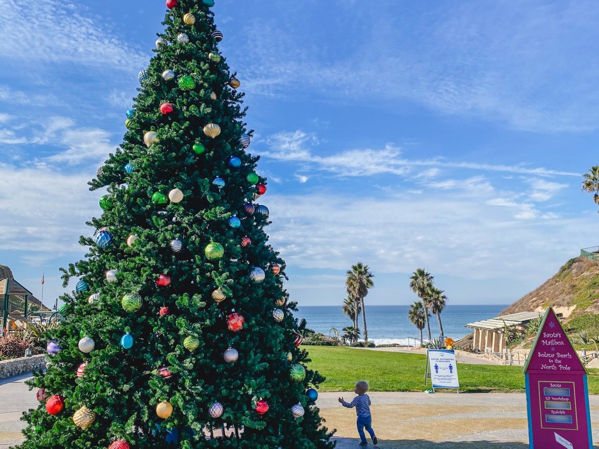 30 Best Family Christmas Events in San Diego for 2025