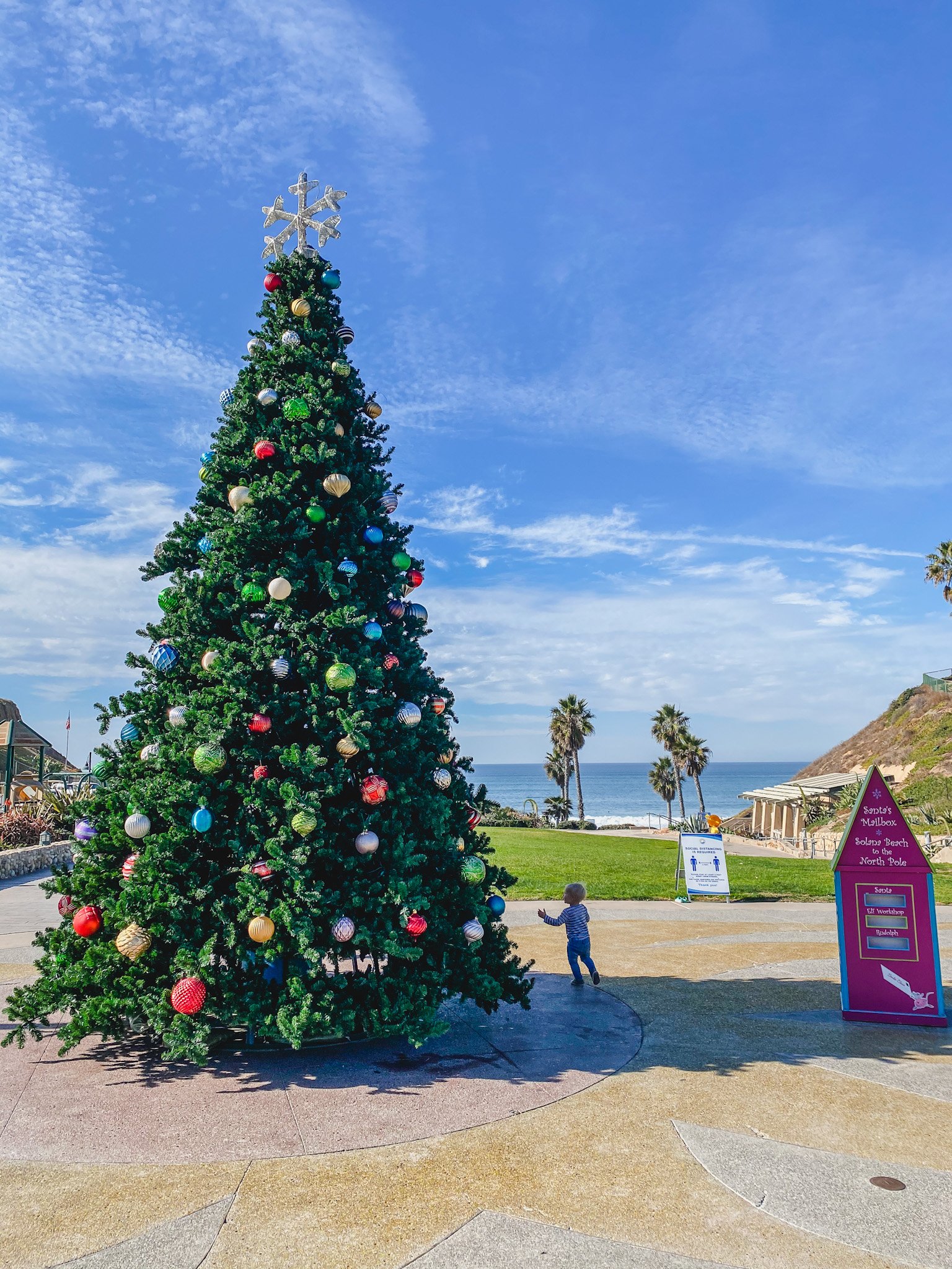 30 Best Family Christmas Events in San Diego for 2025