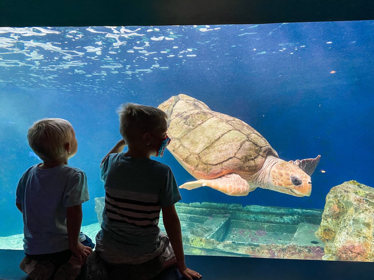 San Diego Museum Month February 2026: 20 Best Museums for Kids