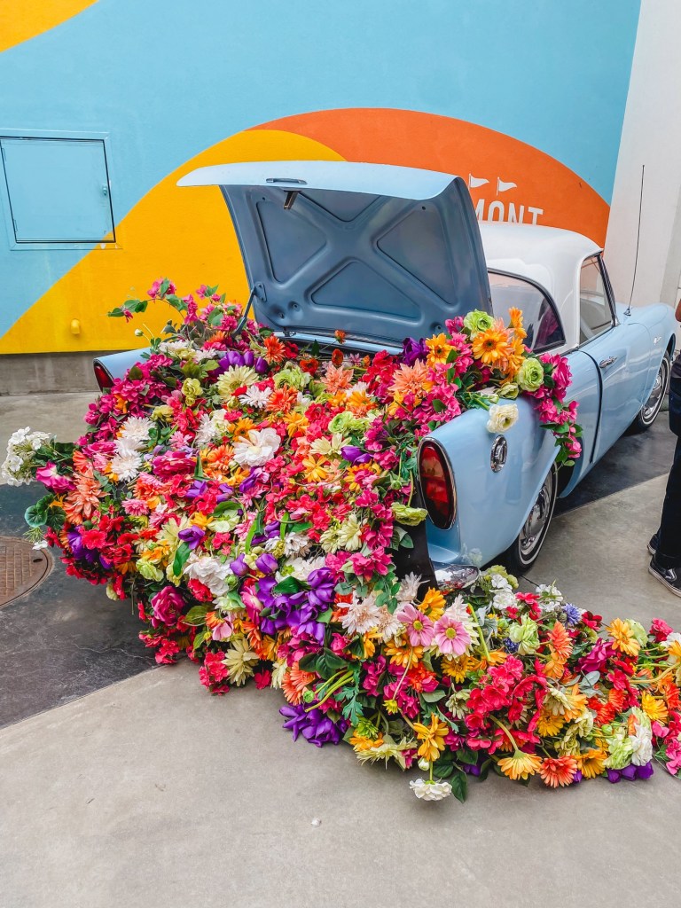 25 Fun San Diego Spring Break Activities For a Family