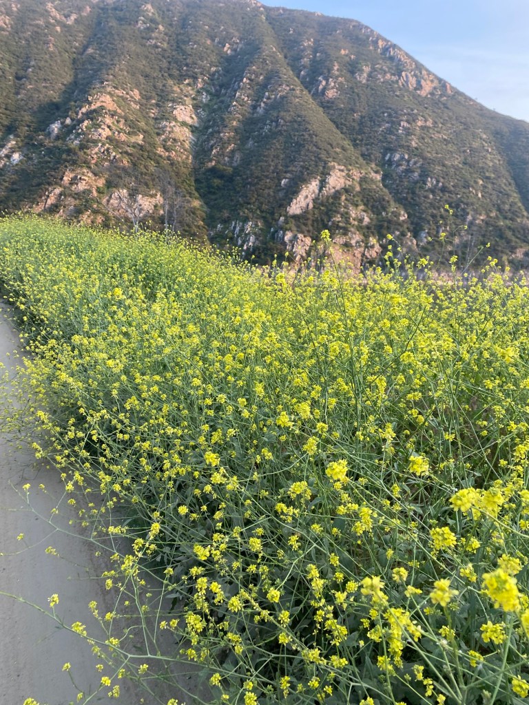 30 Best Things To Do in San Diego in April 2024