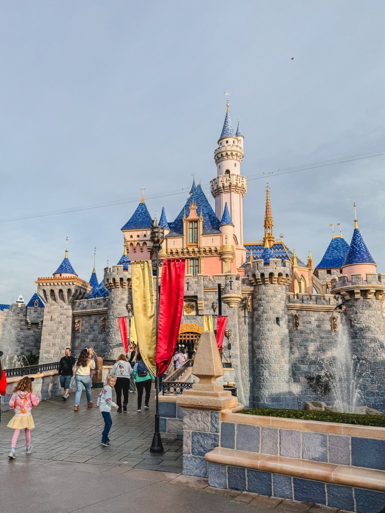 Disneyland With Kids: Things To Know Before Going 2025