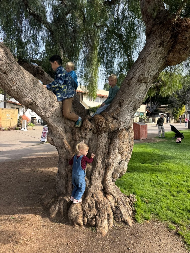 Kids playing on the grassy plaza at Old Town San Diego State Historic Park